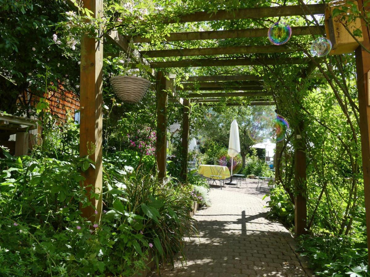 Villa Rosa Trois Epis Esterno foto