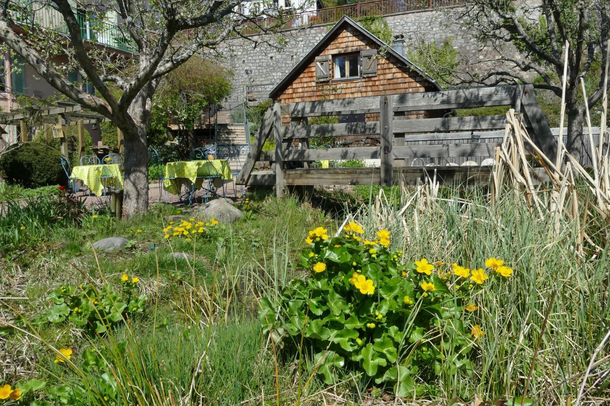 Villa Rosa Trois Epis Esterno foto