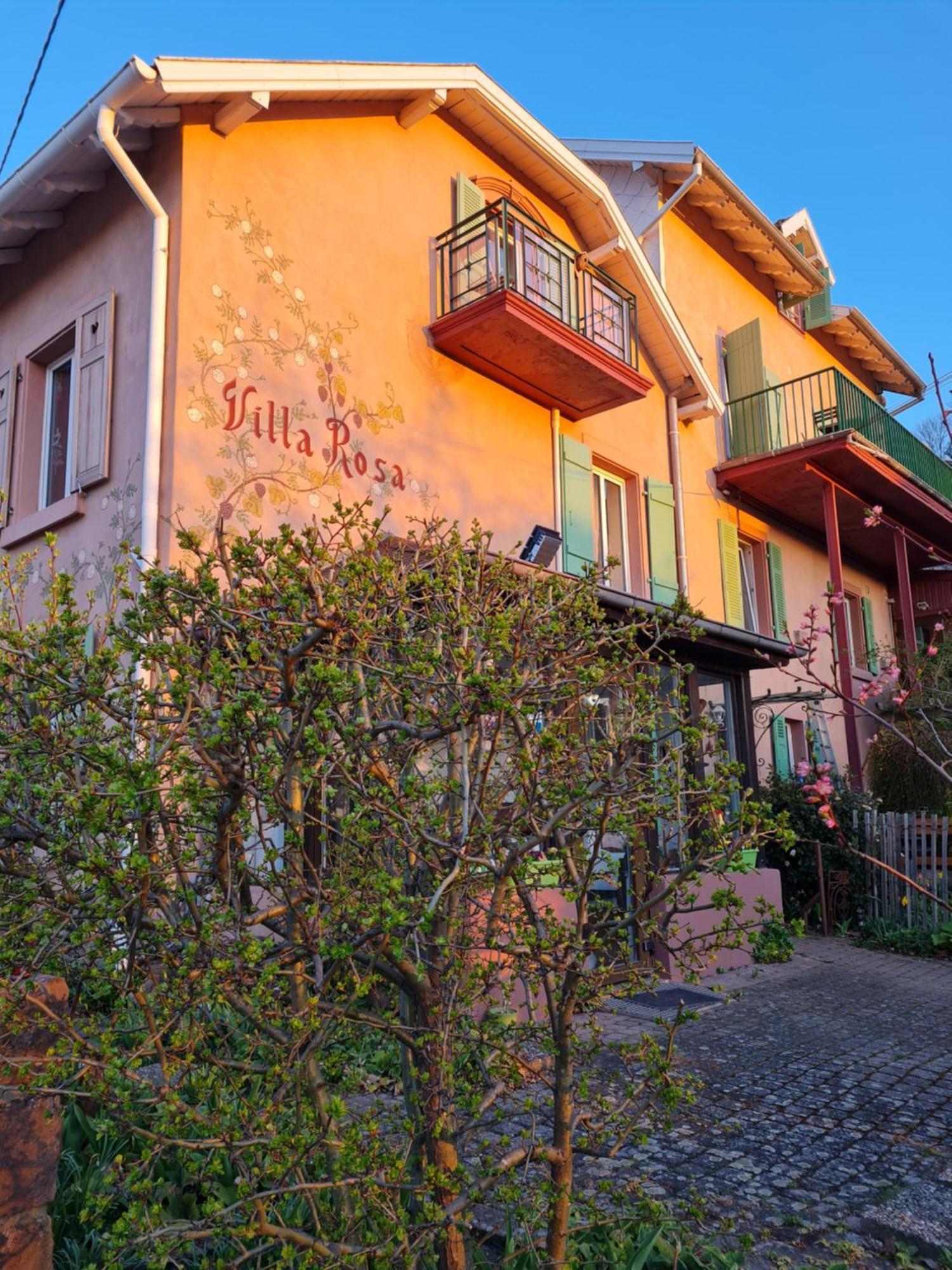 Villa Rosa Trois Epis Esterno foto